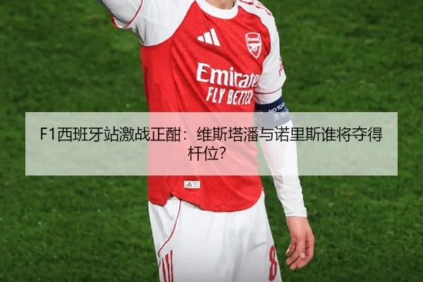 F1西班牙站激战正酣：维斯塔潘与诺里斯谁将夺得杆位？